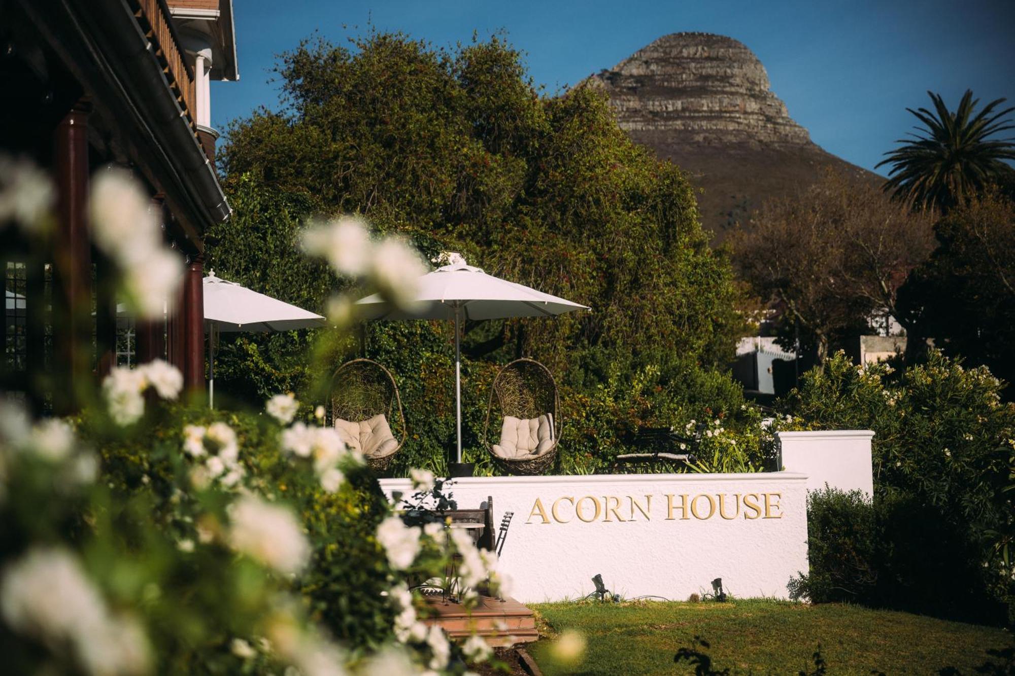 Acorn House Bed & Breakfast Cape Town Dış mekan fotoğraf