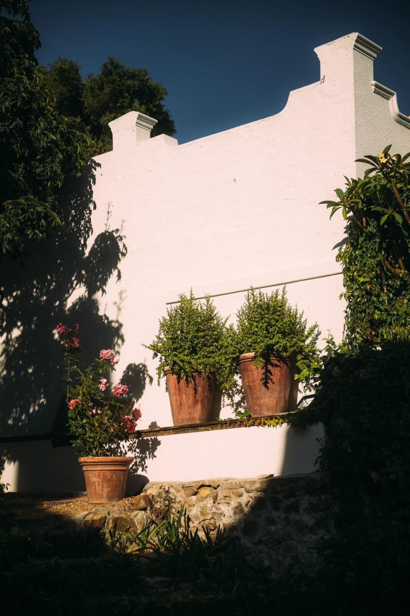 Acorn House Bed & Breakfast Cape Town Dış mekan fotoğraf