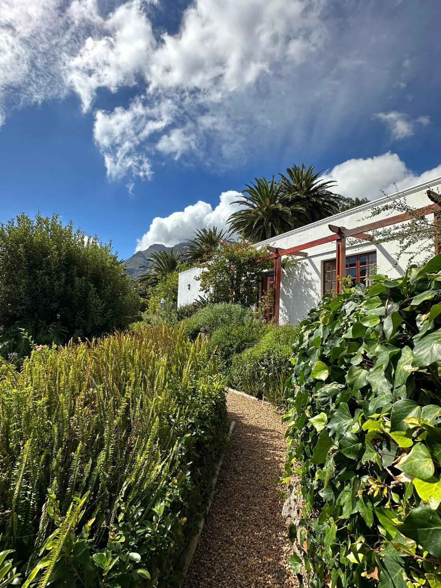 Acorn House Bed & Breakfast Cape Town Dış mekan fotoğraf